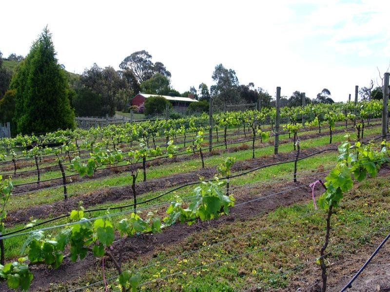 35 Munts Road, Upper Plenty VIC 3756