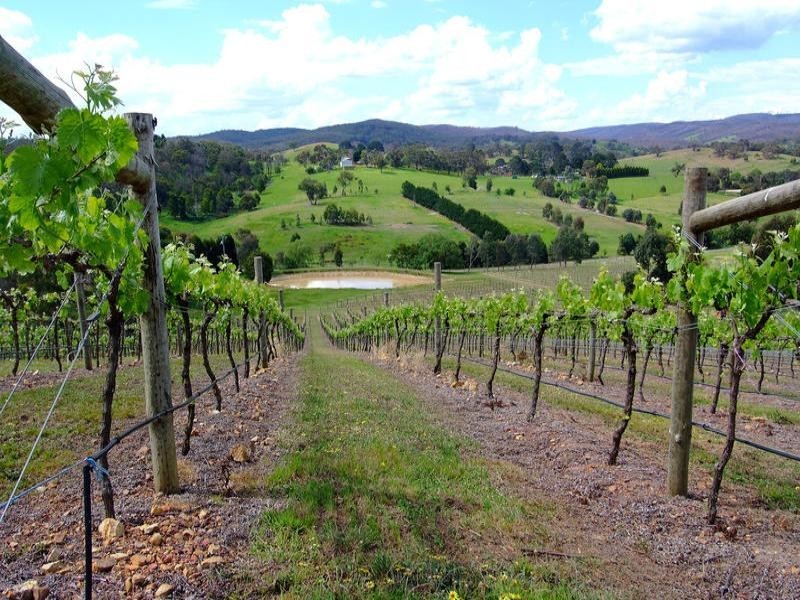 35 Munts Road, Upper Plenty VIC 3756