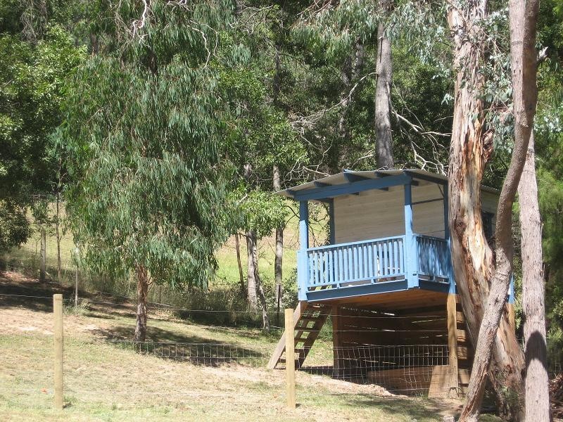 12 Silverparrot Road, Flowerdale VIC 3717