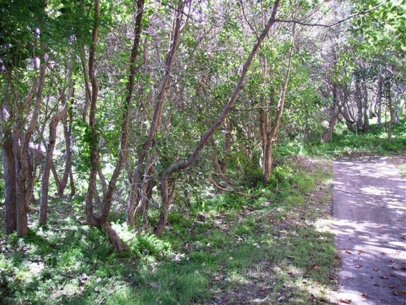 46 Samarinda Way, Point Lookout QLD 4183