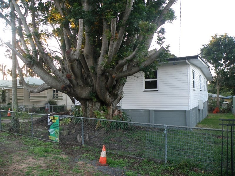 11 Pamphlet Street, Dunwich QLD 4183