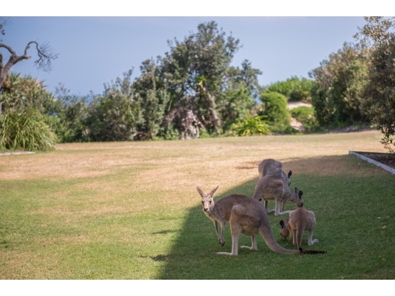 30/7A Samarinda Drive, Point Lookout QLD 4183