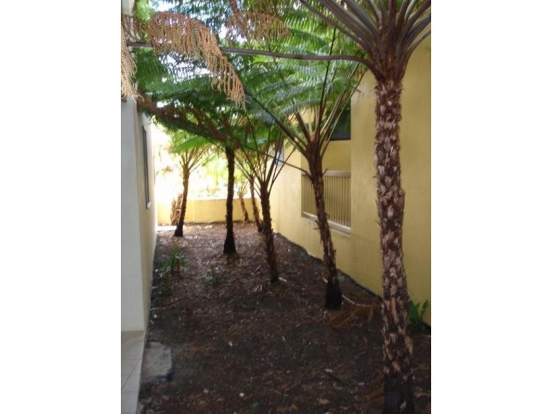 118 Mooloomba Road, Point Lookout QLD 4183