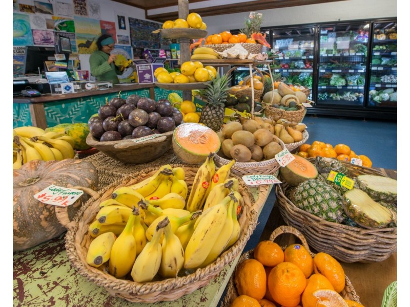 27 Mooloomba Road, Point Lookout QLD 4183