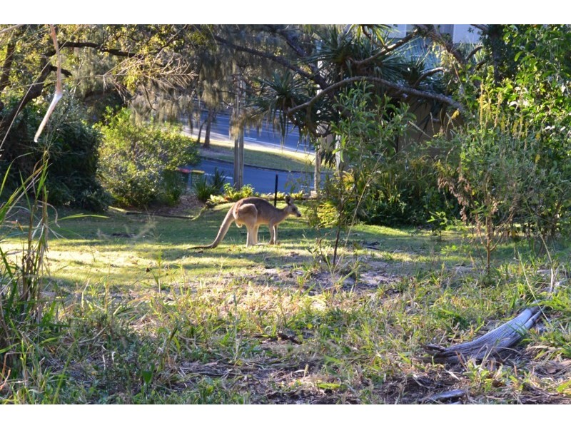 19 Yarrong Road, Point Lookout QLD 4183