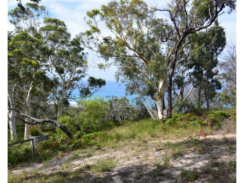 85 Tramican Street, Point Lookout QLD 4183