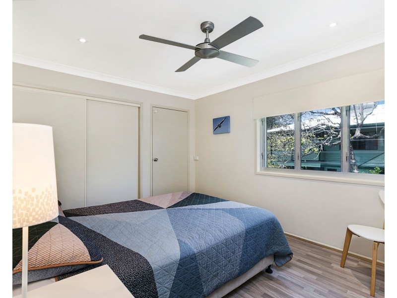 16 Bambara Street, Point Lookout QLD 4183