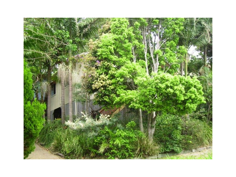 6 Bigoon Road, Point Lookout QLD 4183