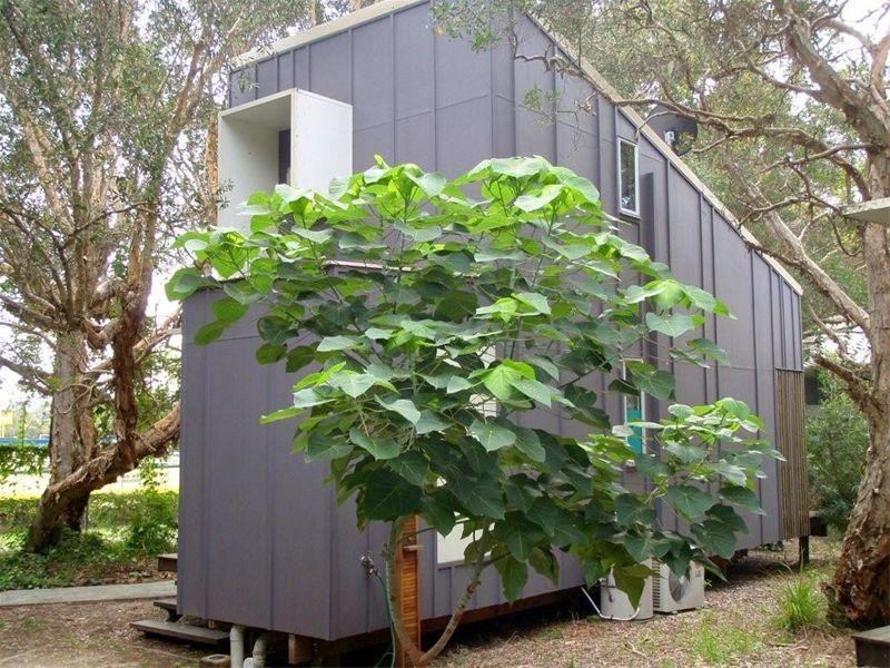 49 Dickson Way, Point Lookout QLD 4183