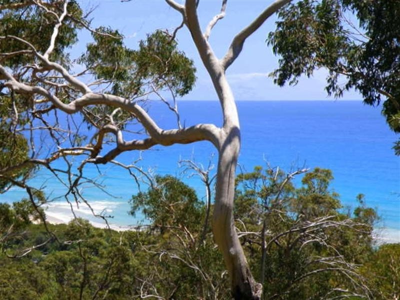 85 Tramican Street, Point Lookout QLD 4183