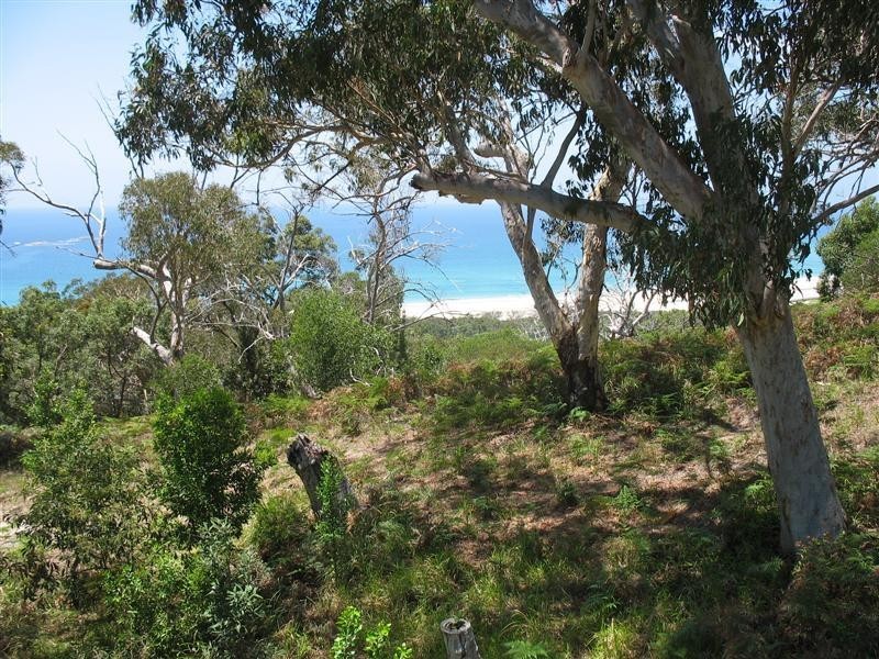 81 Tramican Street, Point Lookout QLD 4183