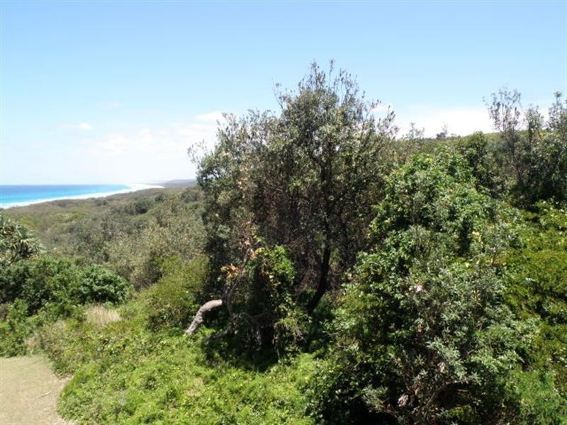 4/11 SAMARINDA Drive, Point Lookout QLD 4183