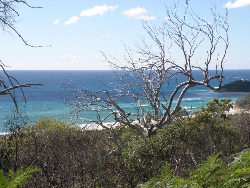 81 Tramican Street, Point Lookout QLD 4183