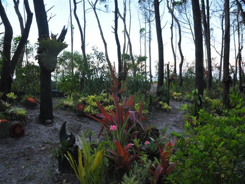 10 Old Ballow Street, Amity QLD 4183