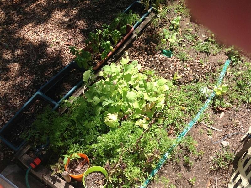 20 Gerard Street, Currajong QLD 4812