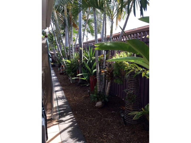 7/67 Bamford Lane, Kirwan QLD 4817