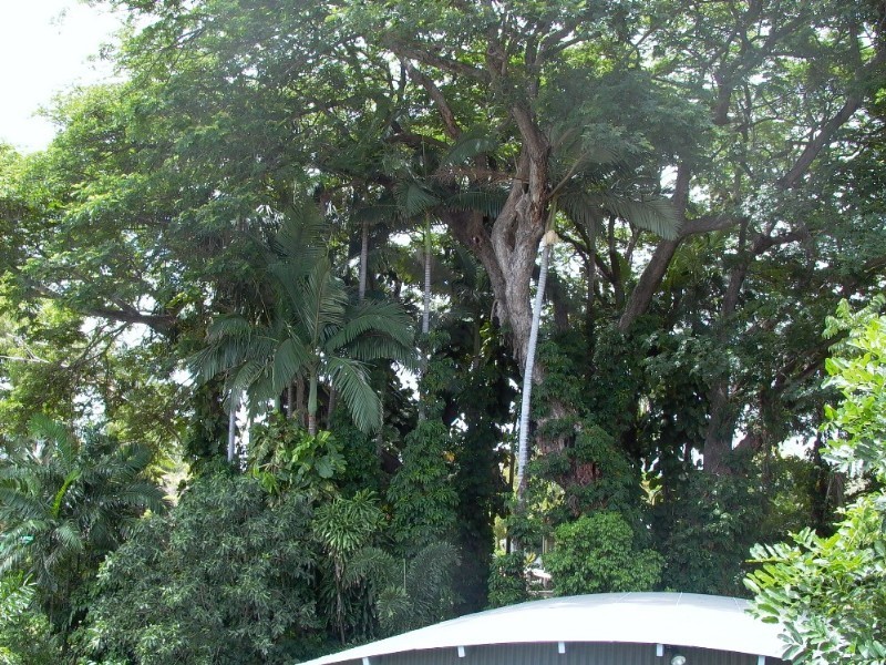 40 Wellington Street, Mundingburra QLD 4812