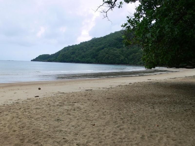 96 Cedar Road, Port Douglas QLD 4877