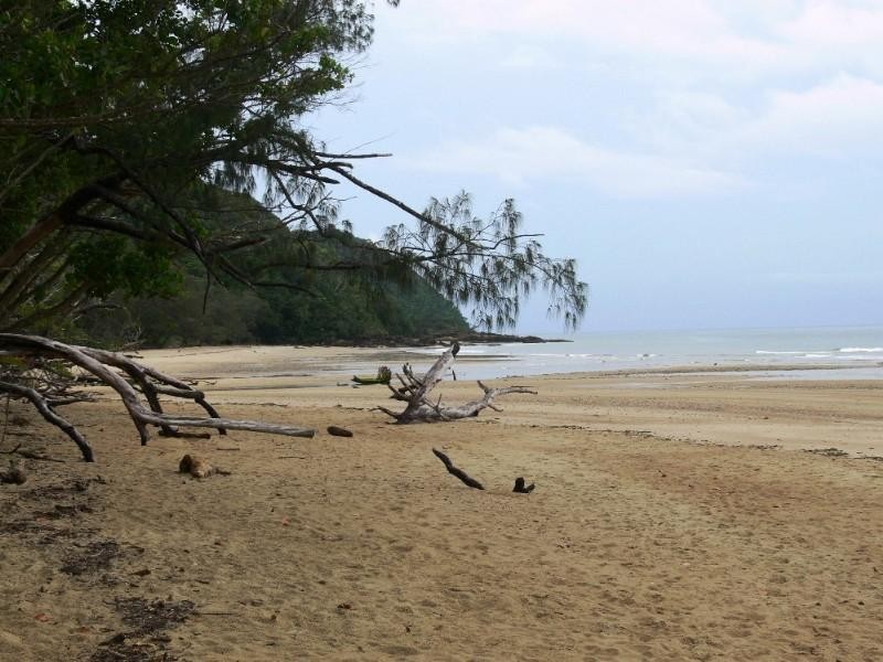 96 Cedar Road, Port Douglas QLD 4877