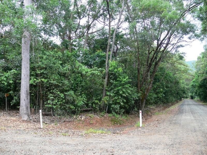 96 Cedar Road, Cow Bay QLD 4873