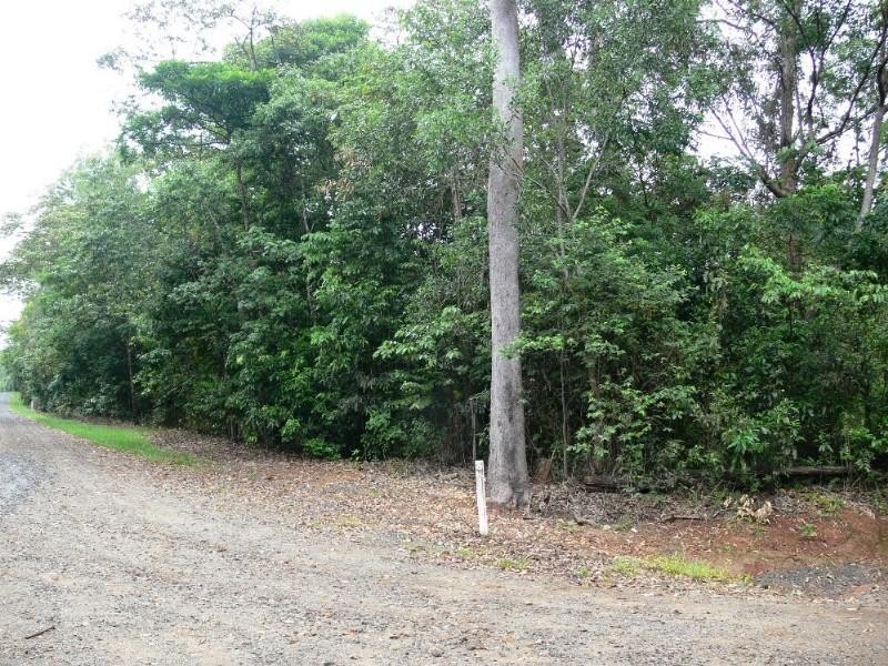 96 Cedar Road, Cow Bay QLD 4873