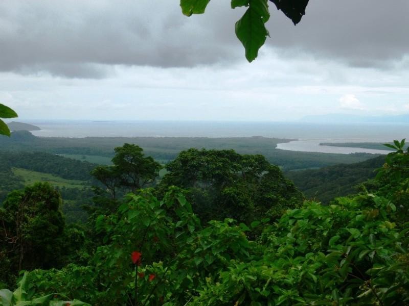 96 Cedar Road, Cow Bay QLD 4873