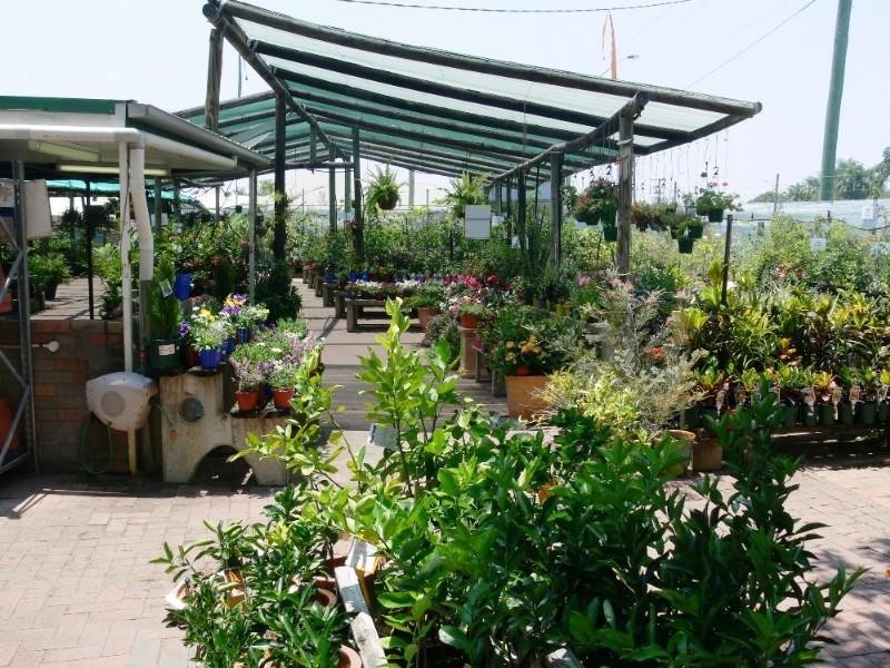 2 Lindeman Avenue, Cranbrook QLD 4814