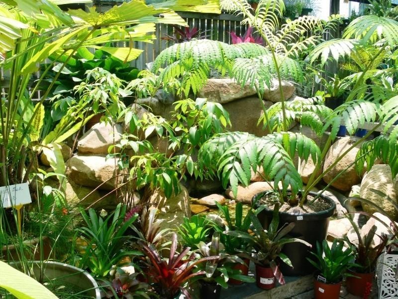 2 Lindeman Avenue, Cranbrook QLD 4814