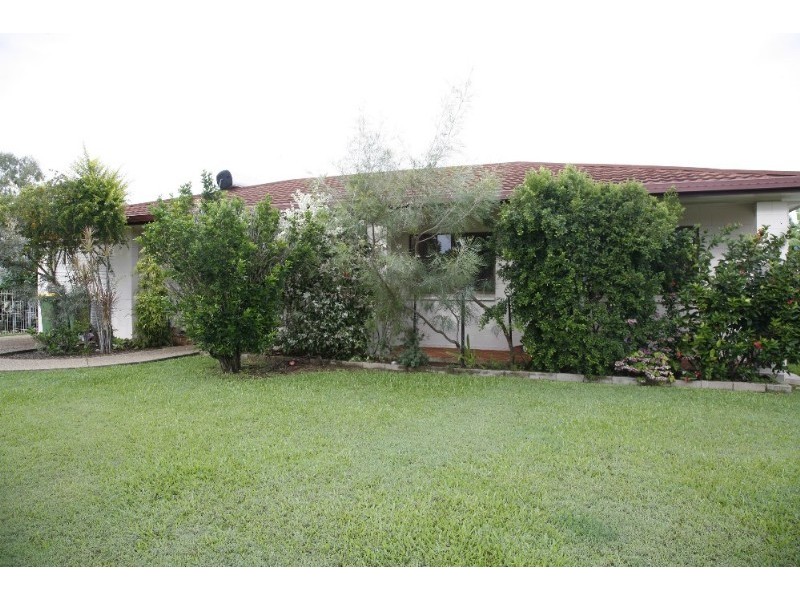 20 Narangi Street, Heatley QLD 4814