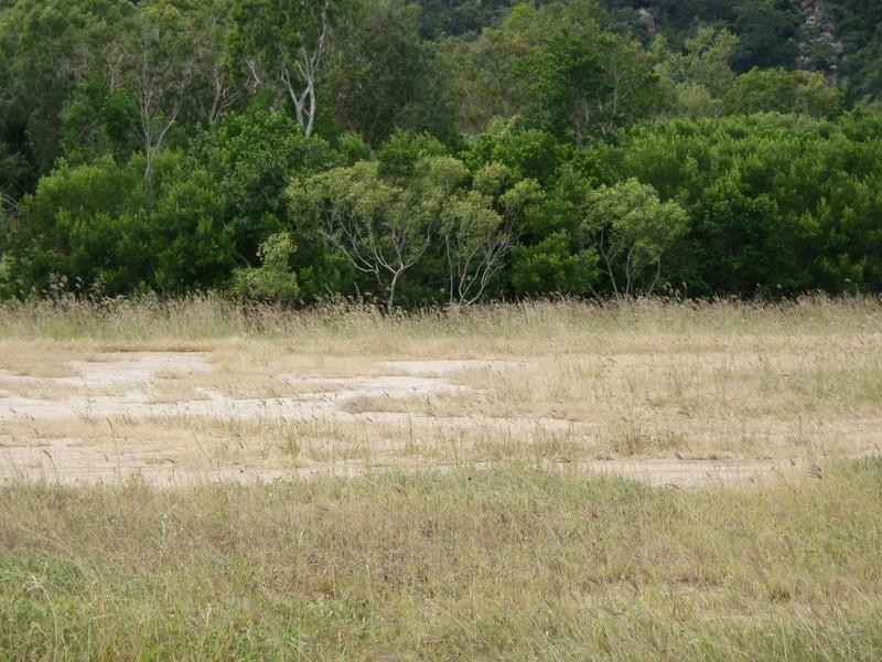 22f The Esplanade, Nelly Bay QLD 4819