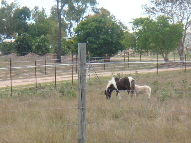 14 Percheron Place, Black River QLD 4818