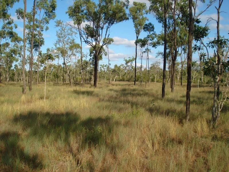 91 Gieseman Road, Black River QLD 4818