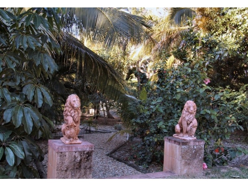 17 Bunya Street, Bushland Beach QLD 4818