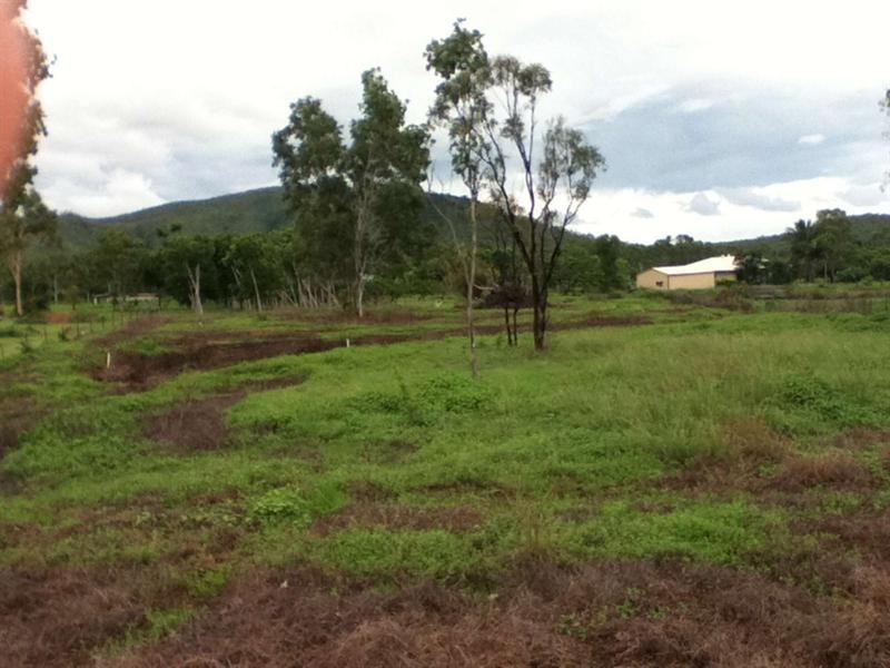 2t Bill Court, Alligator Creek QLD 4816