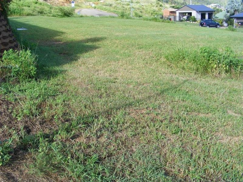 1 Kallanda Street, Mount Louisa QLD 4814