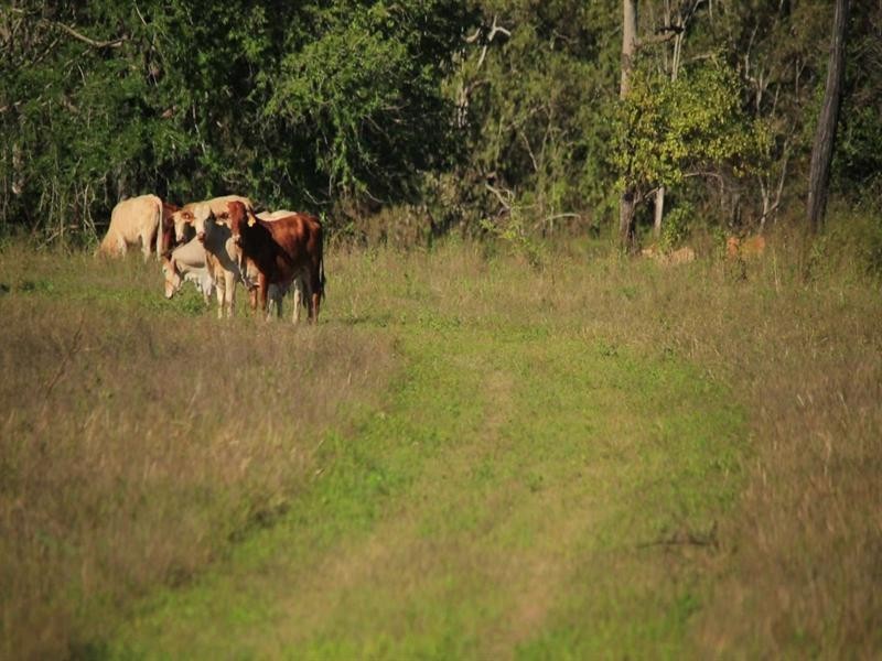 Lot 3 Woodfield Road, Gumlow QLD 4815