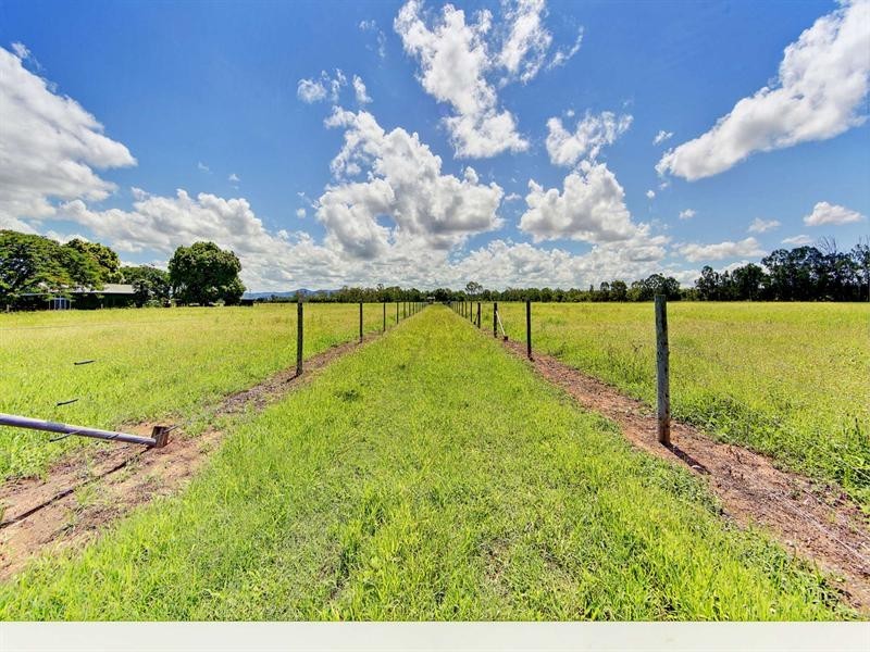 41 Haberecht Road, Majors Creek QLD 4816