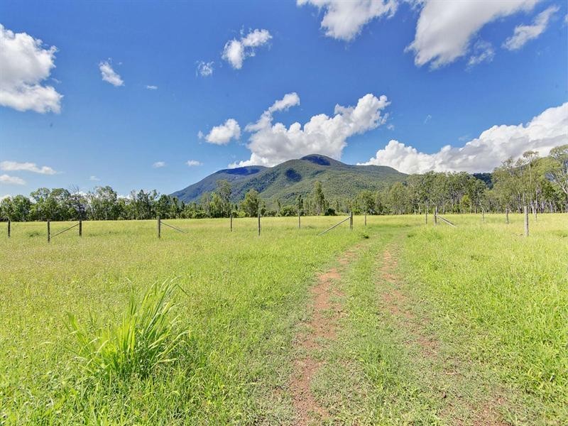 41 Haberecht Road, Majors Creek QLD 4816