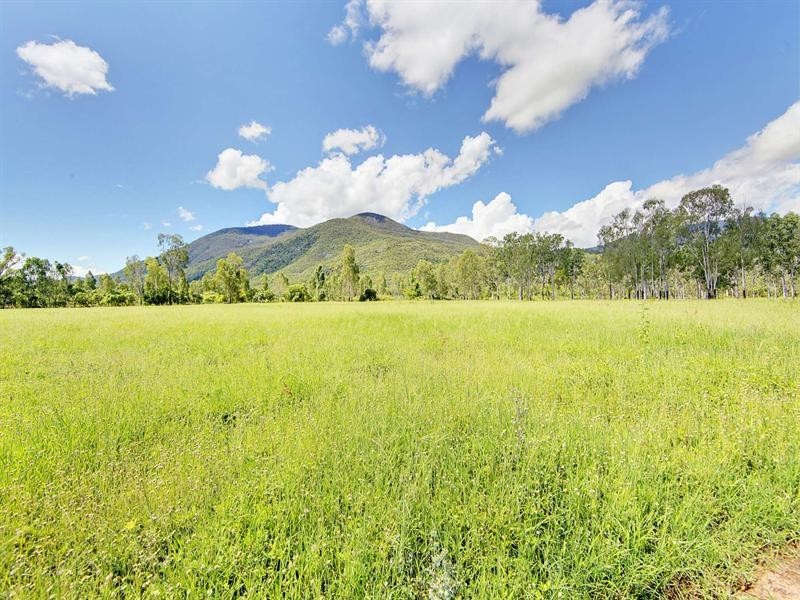 41 Haberecht Road, Majors Creek QLD 4816