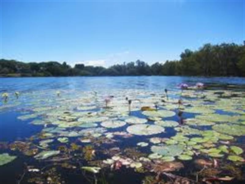 57 Eliza Street, Kelso QLD 4815