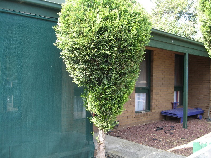 6/9a Coombs Avenue, Oakleigh South VIC 3167