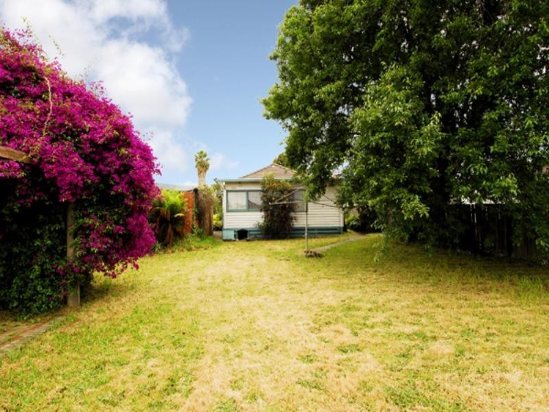 36 Thompson Street, Clayton VIC 3168