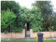 16 Mimosa Avenue, Oakleigh South VIC 3167