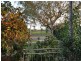 19 Old Eastern Court, Oakleigh South VIC 3167