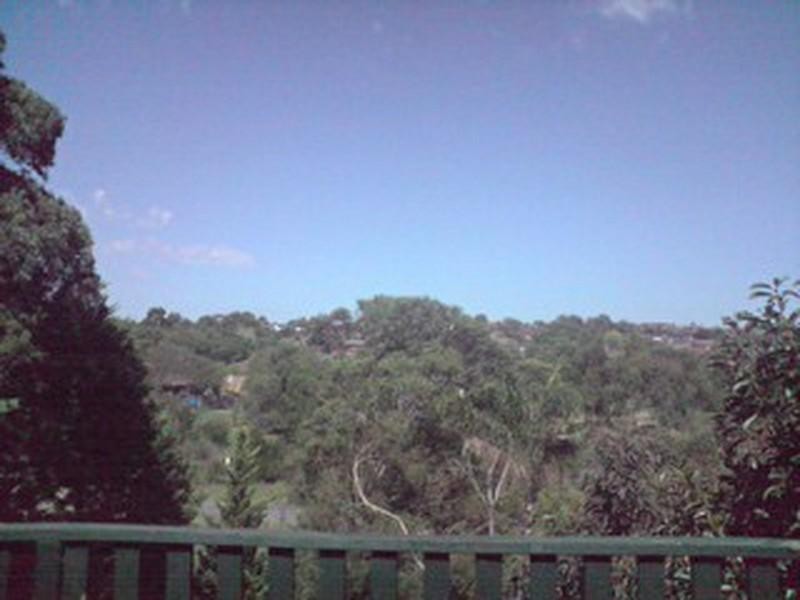 34 carrol Grv, Mount Waverley VIC 3149