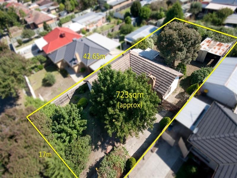 13 Cambro Road, Clayton VIC 3168