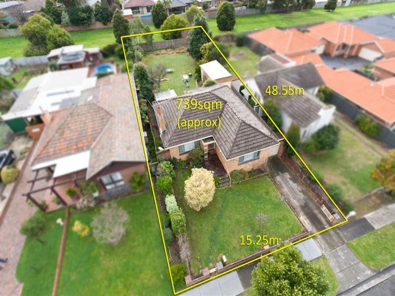 31 Leopold Street, Ashwood VIC 3147
