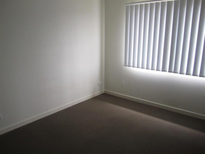 3 Brushbox Court, Clayton VIC 3168