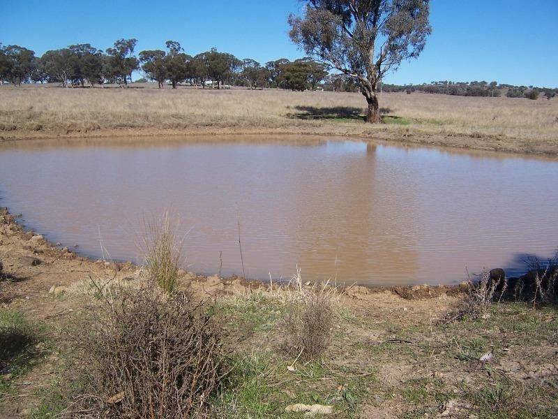 . Burrendong Way, Mumbil NSW 2820