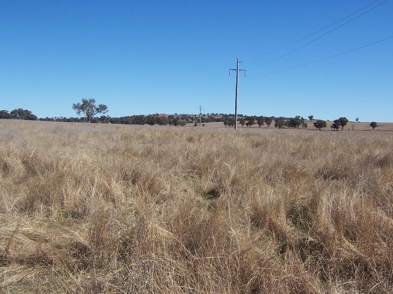 . Burrendong Way, Mumbil NSW 2820